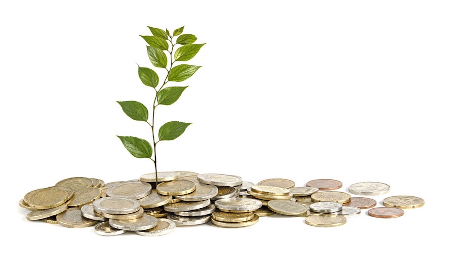 Seed Capital Et Entrepreneuses pisode 1 FinCoach Le Groupe